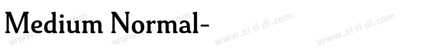 Medium Normal字体转换 Medium Normal字体转换